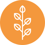 オールハンドだからこそ、細部の筋肉の疲労をとり血液とリンパの流れを促進します。至福のひと時をお過ごしください。