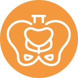 骨盤調整 <br/>産後骨盤矯正